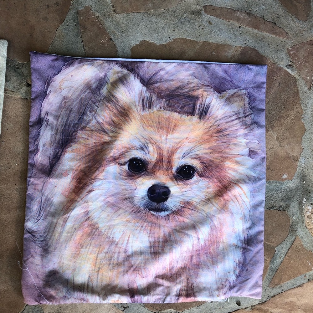 Pillow Cover Pomeranian Dog
